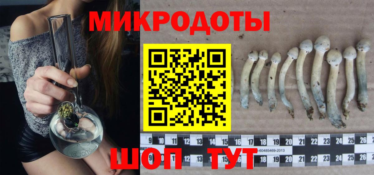 Ирбит  Галлюциногенные грибы прущие грибы  Псилоцибиновые грибы мухоморы  Вход с VPN 